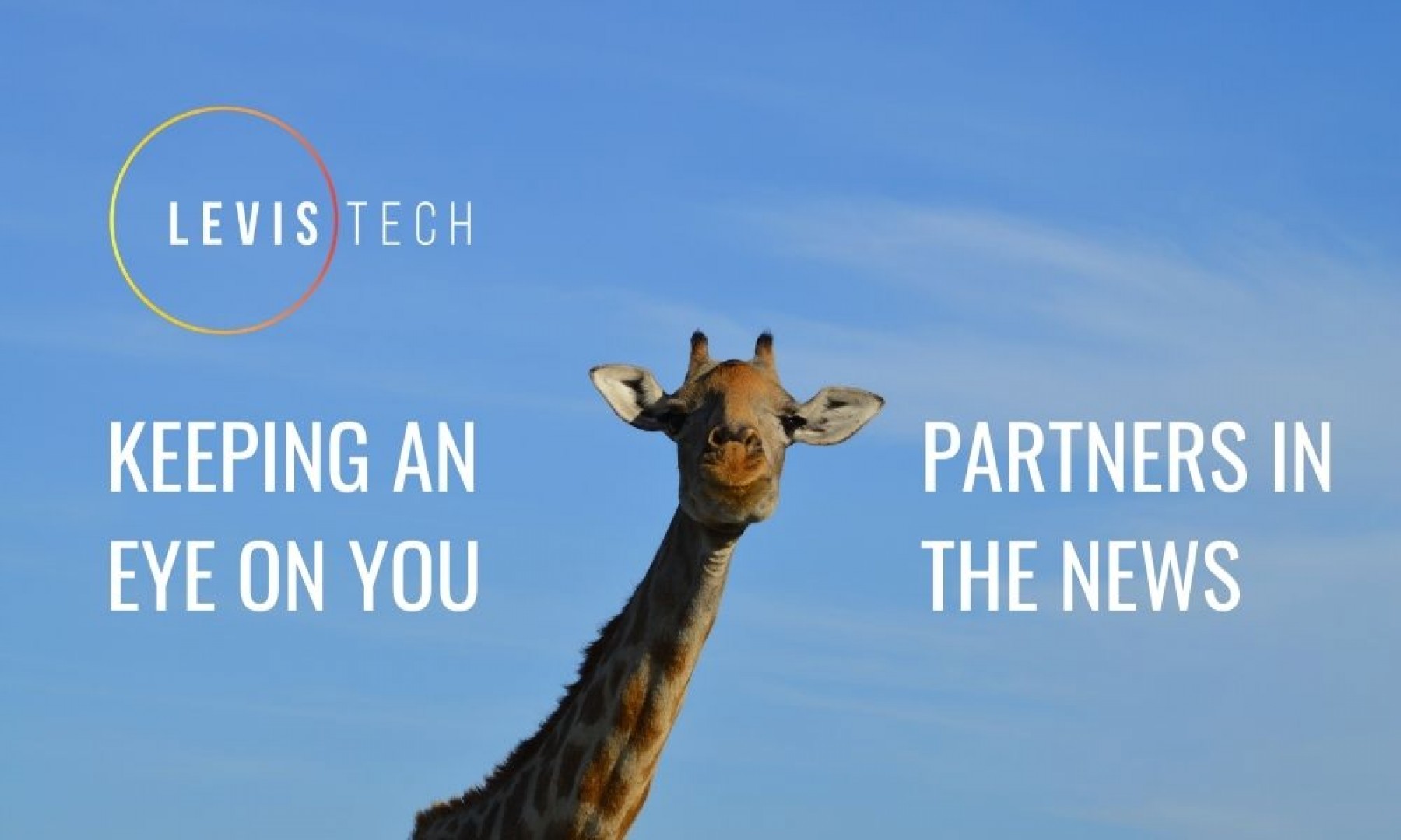 partners in the news